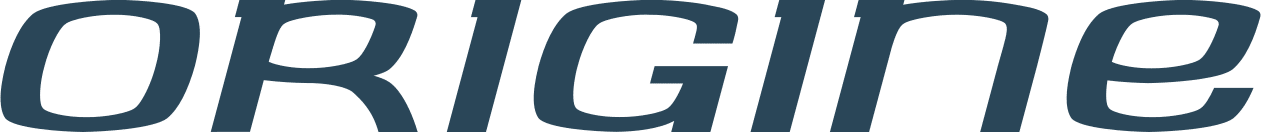 A PROPOS 5 TEXTE STYLISÉ 'ORIGINE' EN BLEU